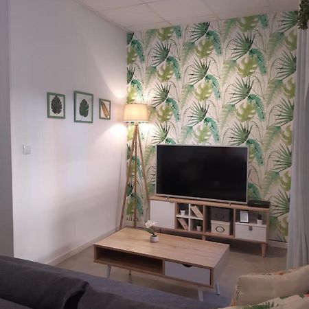 Green Serenity Apartment Alicante Zewnętrze zdjęcie